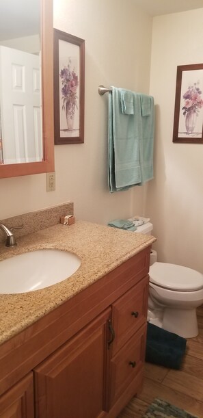 Master bathroom