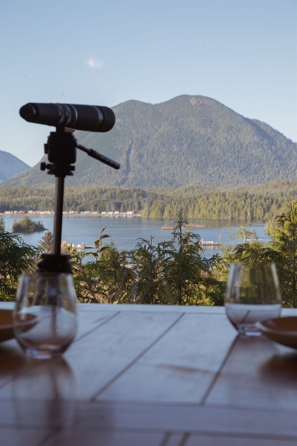 Patio View