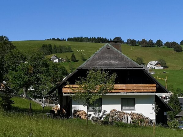 Exteriör