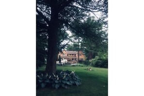 Backyard - 1 acre property