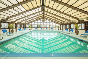 Beautiful and large swimming pool, family fun!