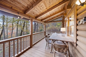 Screened porch overlooking lush forest.  Wintertime mountain views.