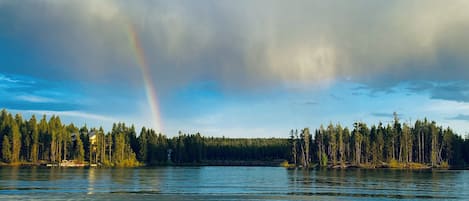 Järvi