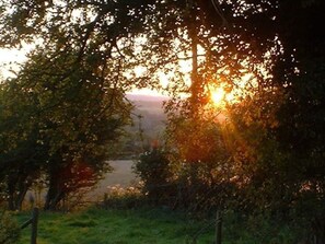 Evening sun