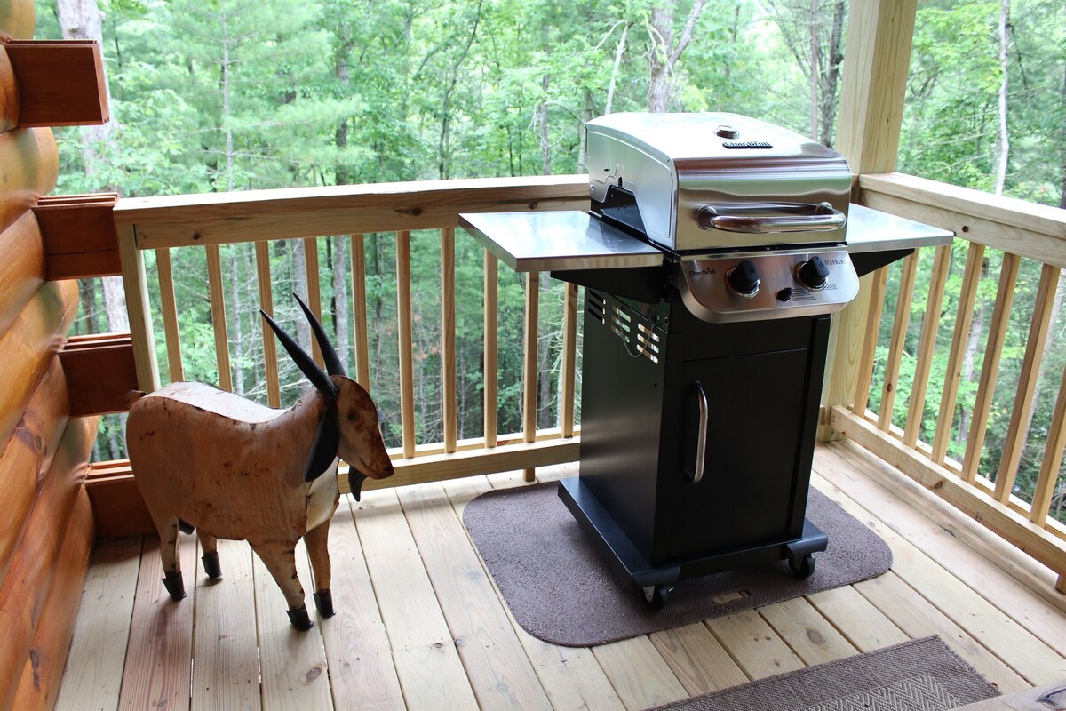 The Rusty Goat–Year-round Mountain View, King-sized bed, highspeed internet!