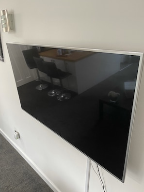 Television