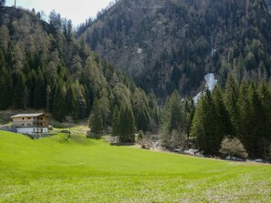 Pflanze, Berg, Ökoregion, Natürliche Landschaft, Natürlichen Umgebung, Baum, Lärche, Grundstueck, Steigung, Hochland