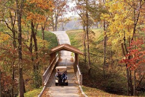Famous Covered Bridge