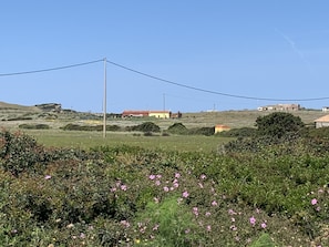 Vista dalla sp 34