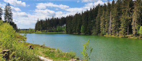 Auszeit im Harz - GLÜCKSKLEE II erwartet Euch