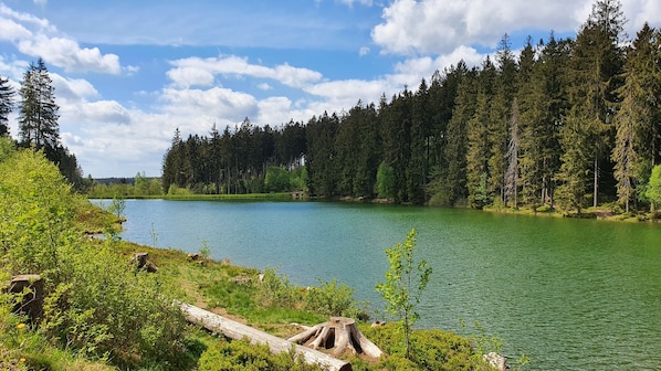 Auszeit im Harz - GLÜCKSKLEE II erwartet Euch