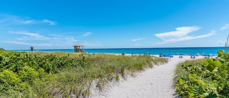 We are located just 2 .5miles by car from 3 of the best beaches in South Florida