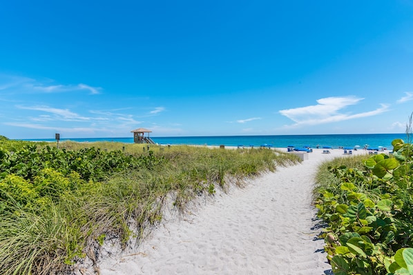 We are located just 2 .5miles by car from 3 of the best beaches in South Florida