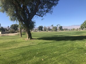 View from patio