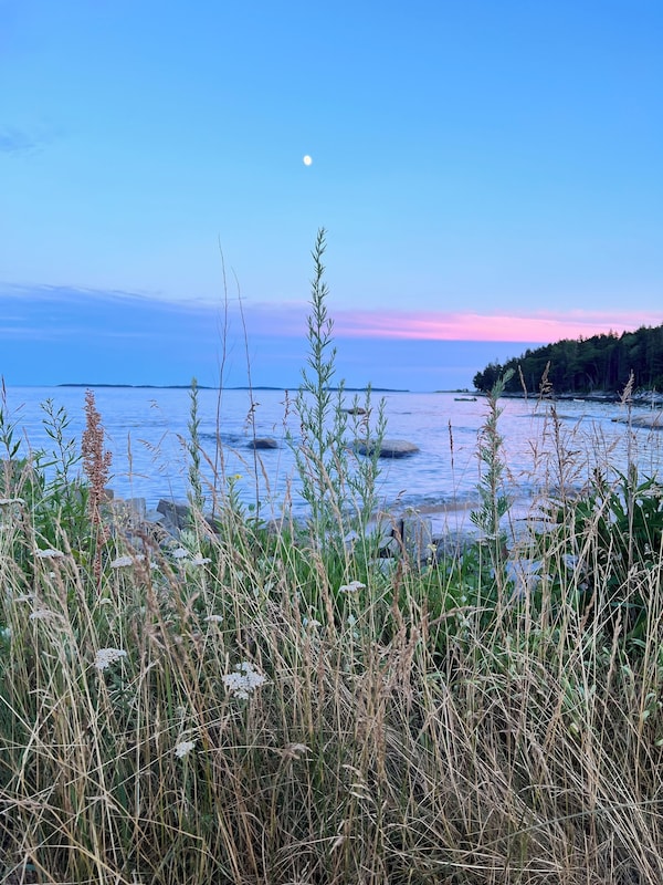 Ocean view at sunset from the wharf