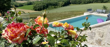 Piscine à débordement traitée au sel
12mx4m