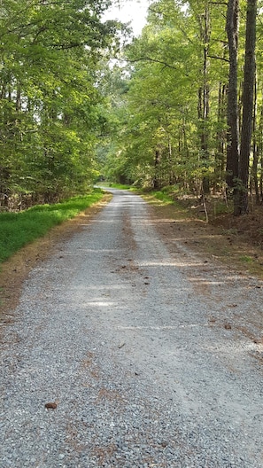 Drive into Peacelands
