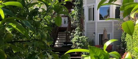 Shared Garden looking back at house