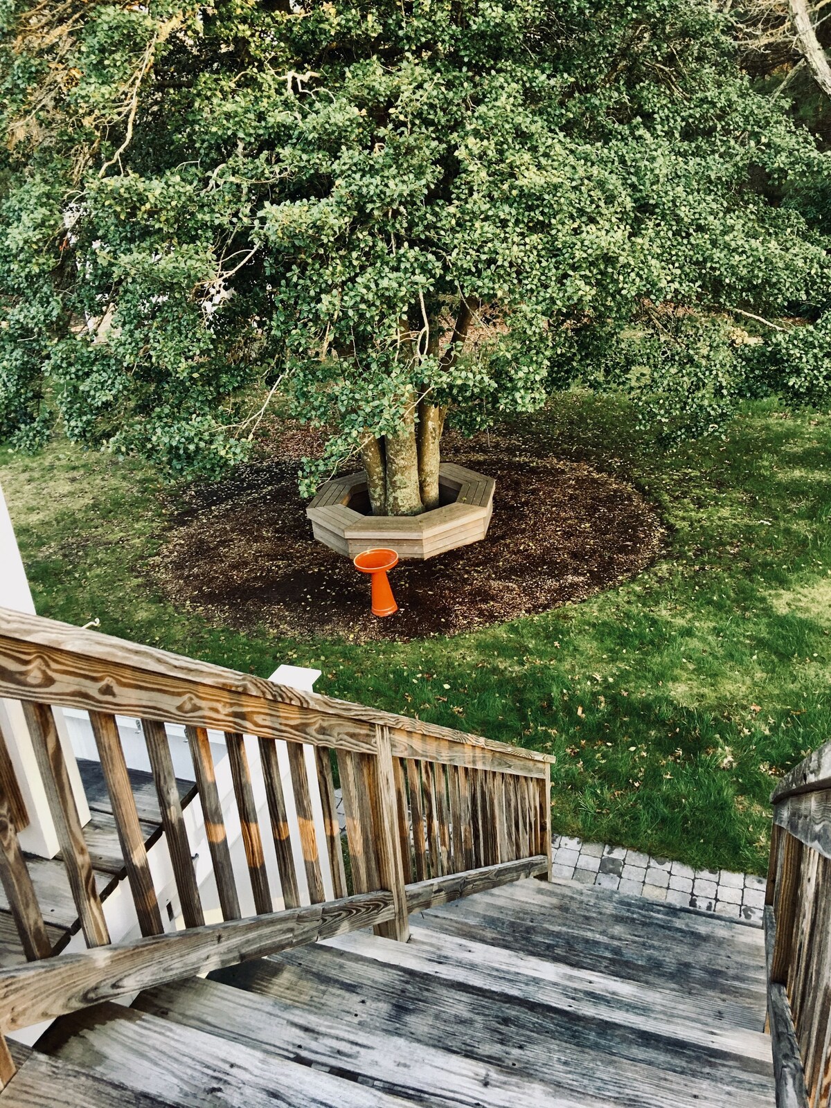 Private suite upstairs: bedroom, office, TV room, bathroom & a large deck.