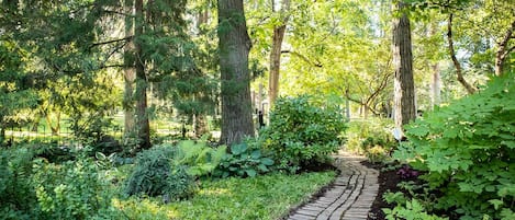 Charming Outdoor Path