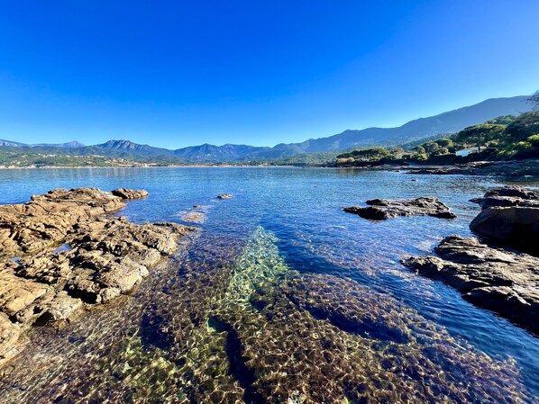 Le littoral au pied de la résidence