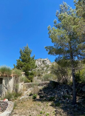 Falaise de roquefort  