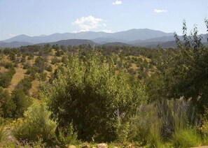 Mountain Views