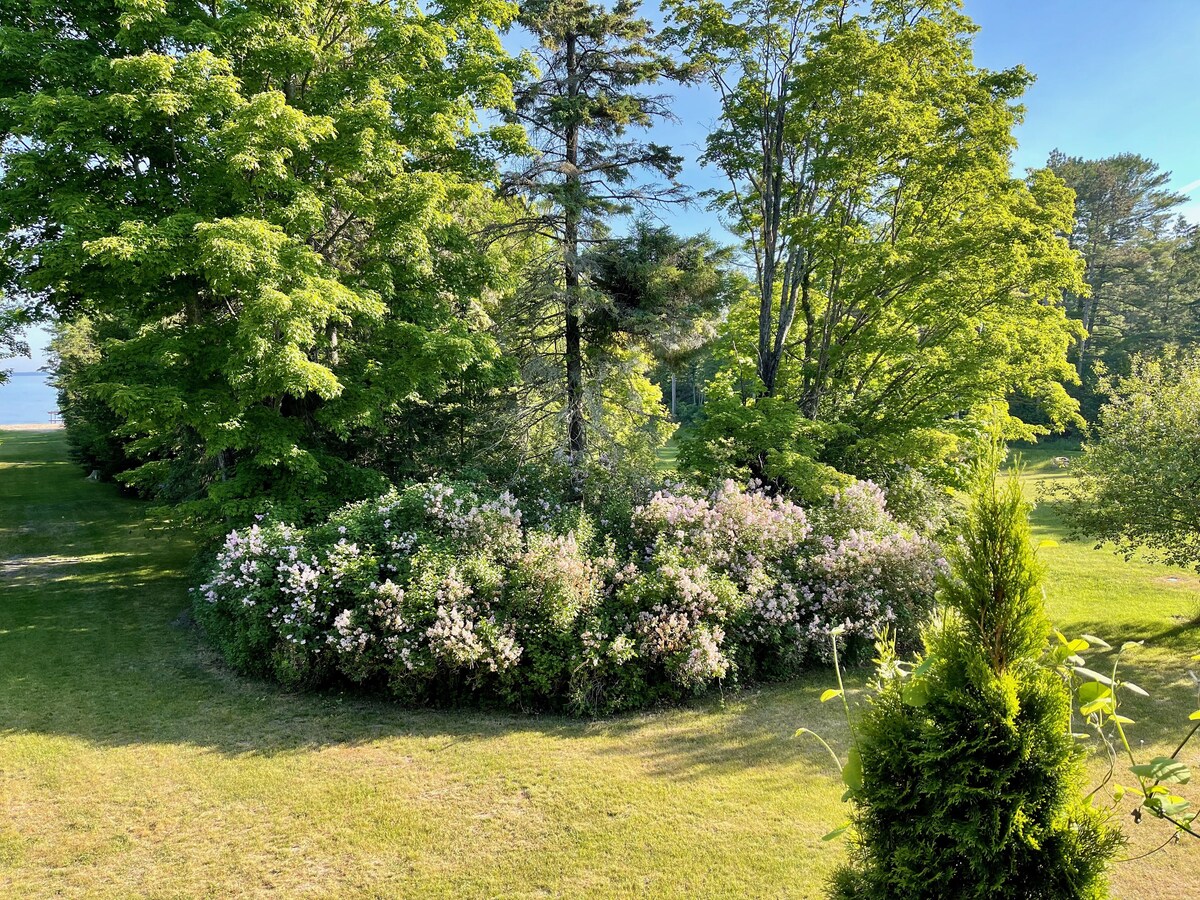 4+ acres with 100 feet of sugar sand beach on Lake Huron