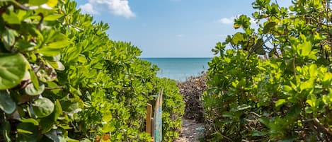 Beach Path 