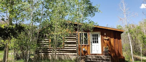 Exterior of Needle Rock Cabin