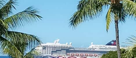 Every week the cruise ships arrive in Kona. The view is amazing from the Lanai!!