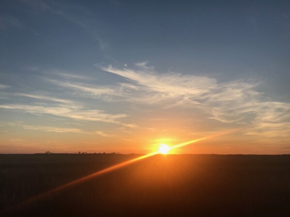 Nightly Sunsets  3/1-from Screened in porch.