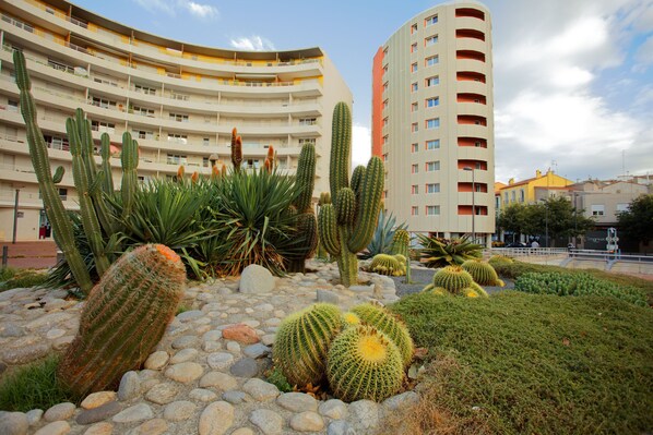 Escape to Perpignan for your next holiday.