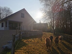 Boendeområde