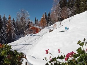 Skidåkning och snöaktiviteter