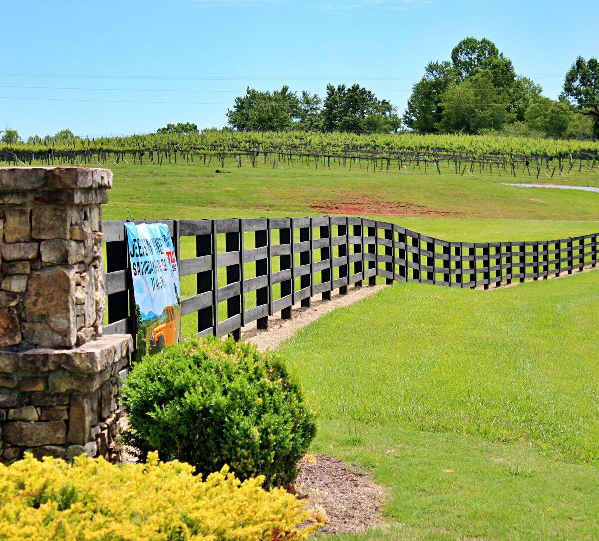 Dahlonega Wine Country Retreat at Cardinal Hill
