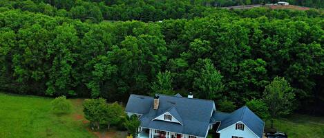 Chattahoochee National Forest is our backyard!