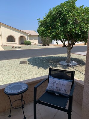 View from front patio of Orange tree