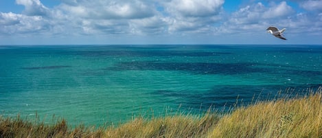 Spiaggia