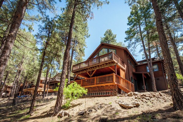 Majestic cabin among the pines