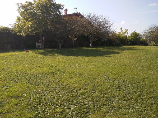 Property grounds