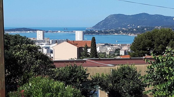 Vista desde la propiedad