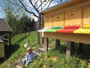 Appartement Huber