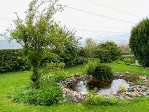 Pflanze, Wasser, Himmel, Natürliche Landschaft, Baum, Gras, Ground, Landschaft, Graspflanze, Strauch