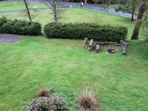 Plant, Plant Community, Tree, Natural Landscape, Land Lot, Grass, Biome, Groundcover, Shrub, Terrestrial Plant