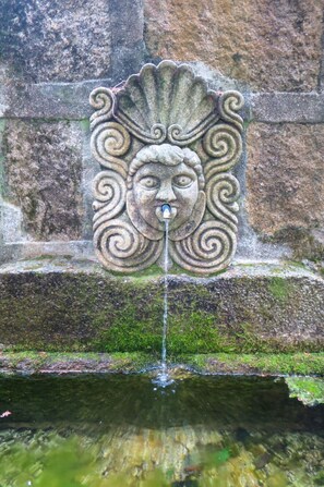 L'Eau, La Nature, Fontaine, Herbe, Bois, Cours D'Eau, Police De Caractère, Symétrie