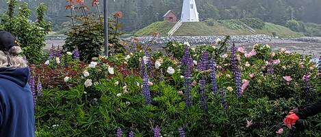  Summer in Lubec is Heavenly 💕 All this a short walk from the cottage ! 