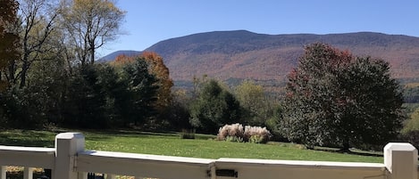 View from back deck
