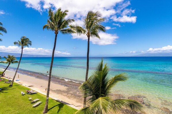 Incredible beach access and snorkeling just steps from this property