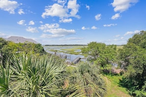 View of the marsh from the balcony. 
